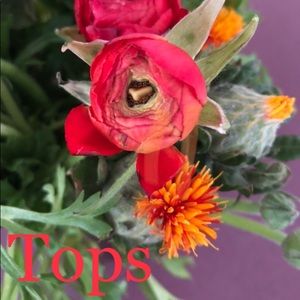 Tops-tanks, blouses, active wear. More to come!